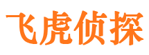 宁安市私家侦探